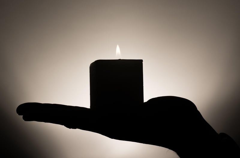Cedarwood and Moss Candle