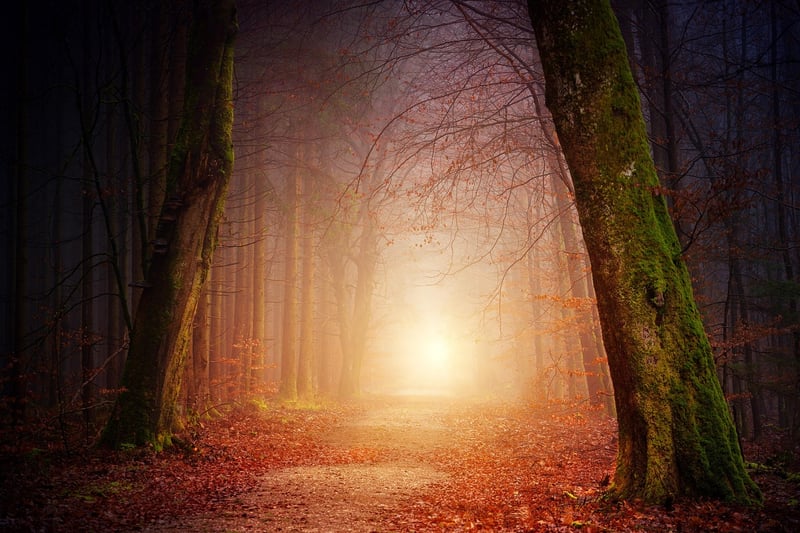 Whispering Woods Retreat